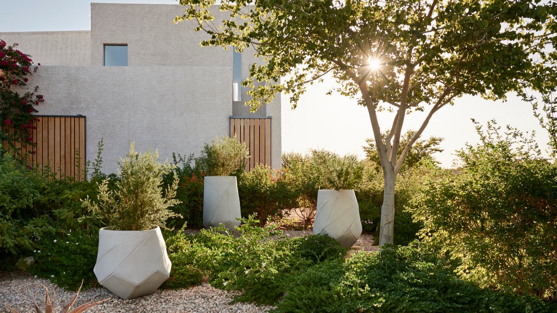 The Indigenus Planters Collection