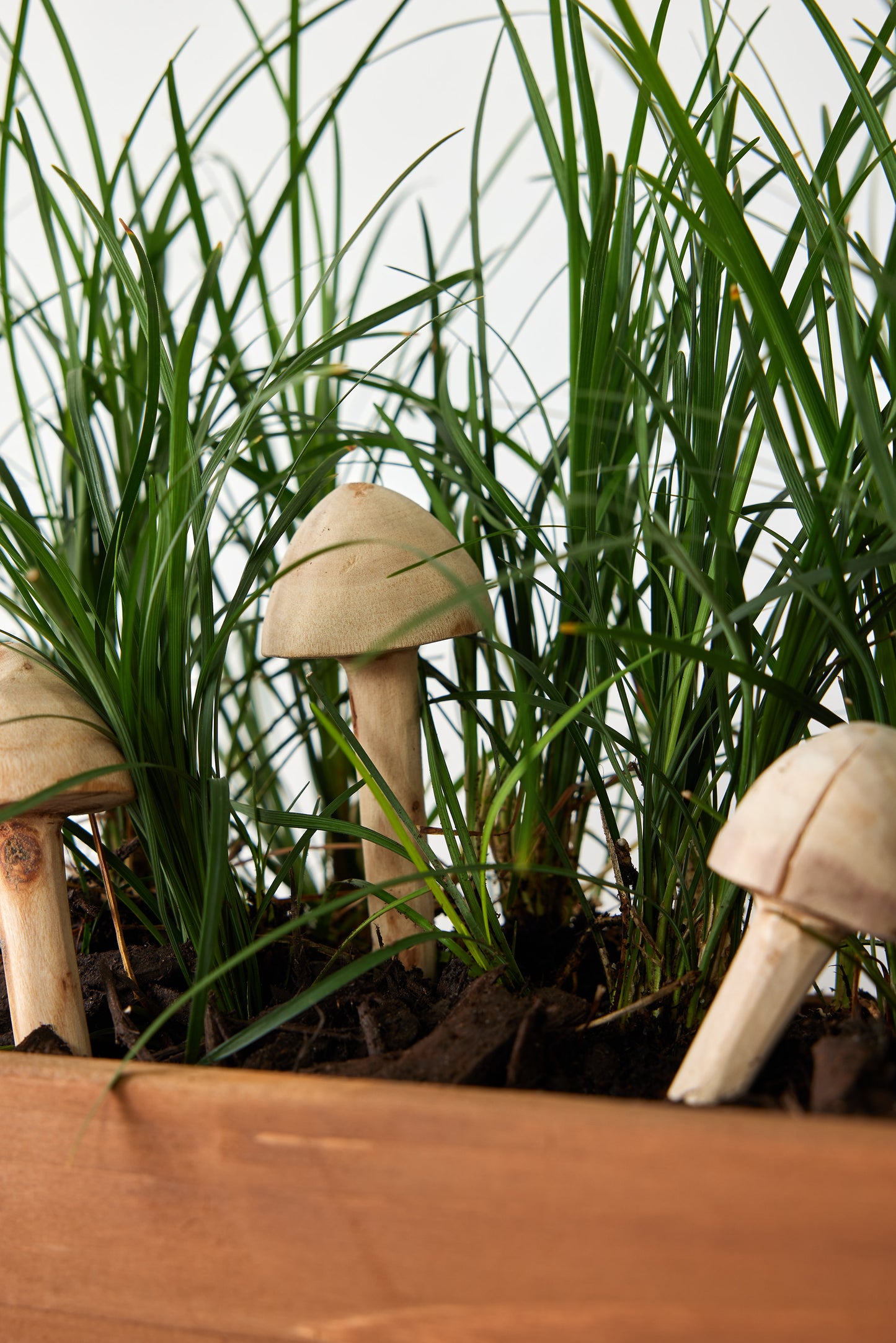 Wooden Mushroom Garden Sticks