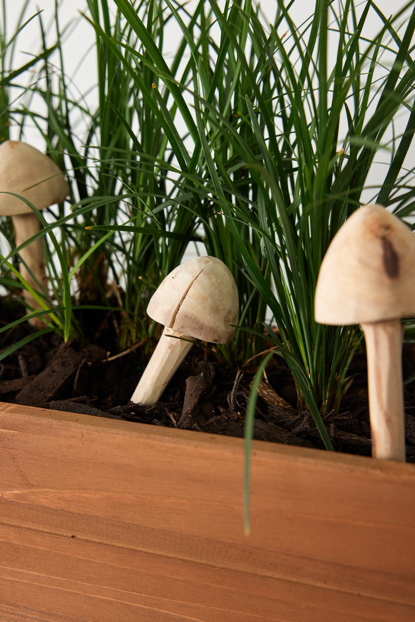 Wooden Mushroom Garden Sticks