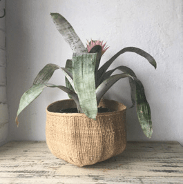 Matabele Hand-Woven Natural Ilala Palm Basket