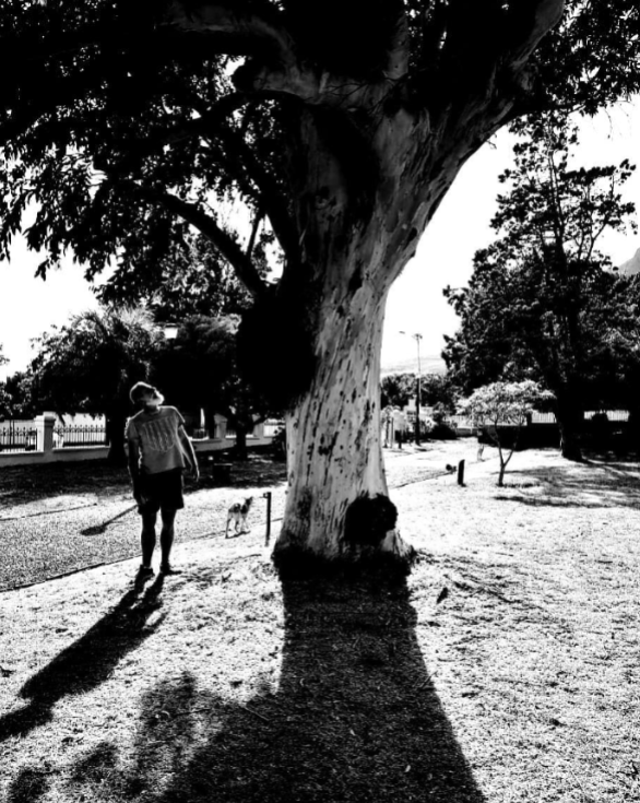A tree falls during a storm... left to rot - too big, too old or too difficult to move. End of story? No. Our newest artisan partner jumps at the chance to clean up london plane wood, salinga and blackwood to start their journey for the next generations of wood lovers. Embrace the essence of artisanal beauty and sustainability. Bring a pieces of nature-inspired elegance into your home. 