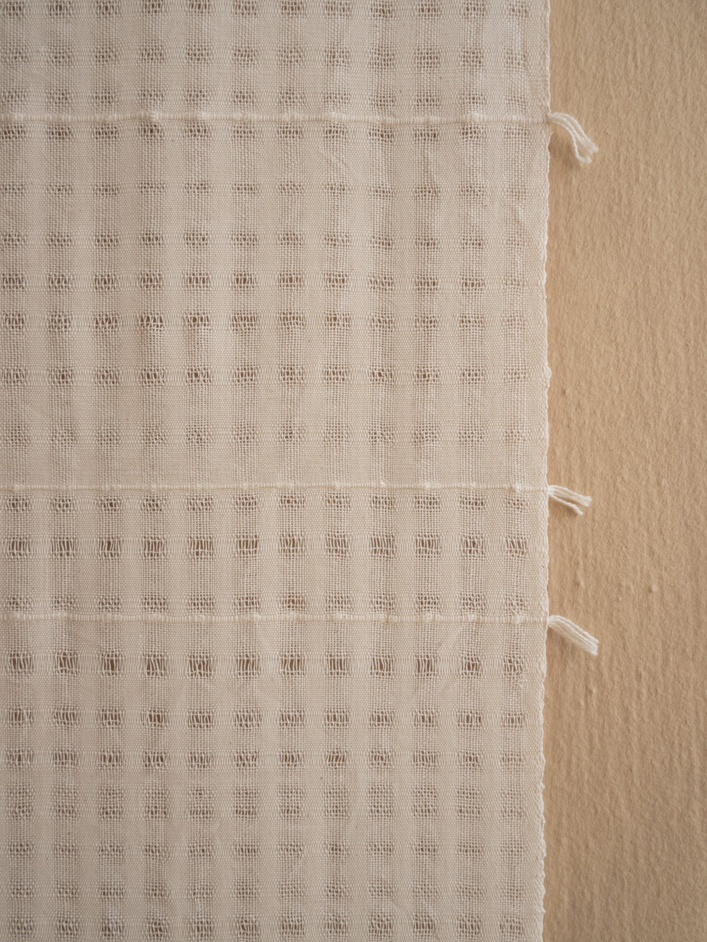 Chiaro Handwoven Cotton Wall Hanging