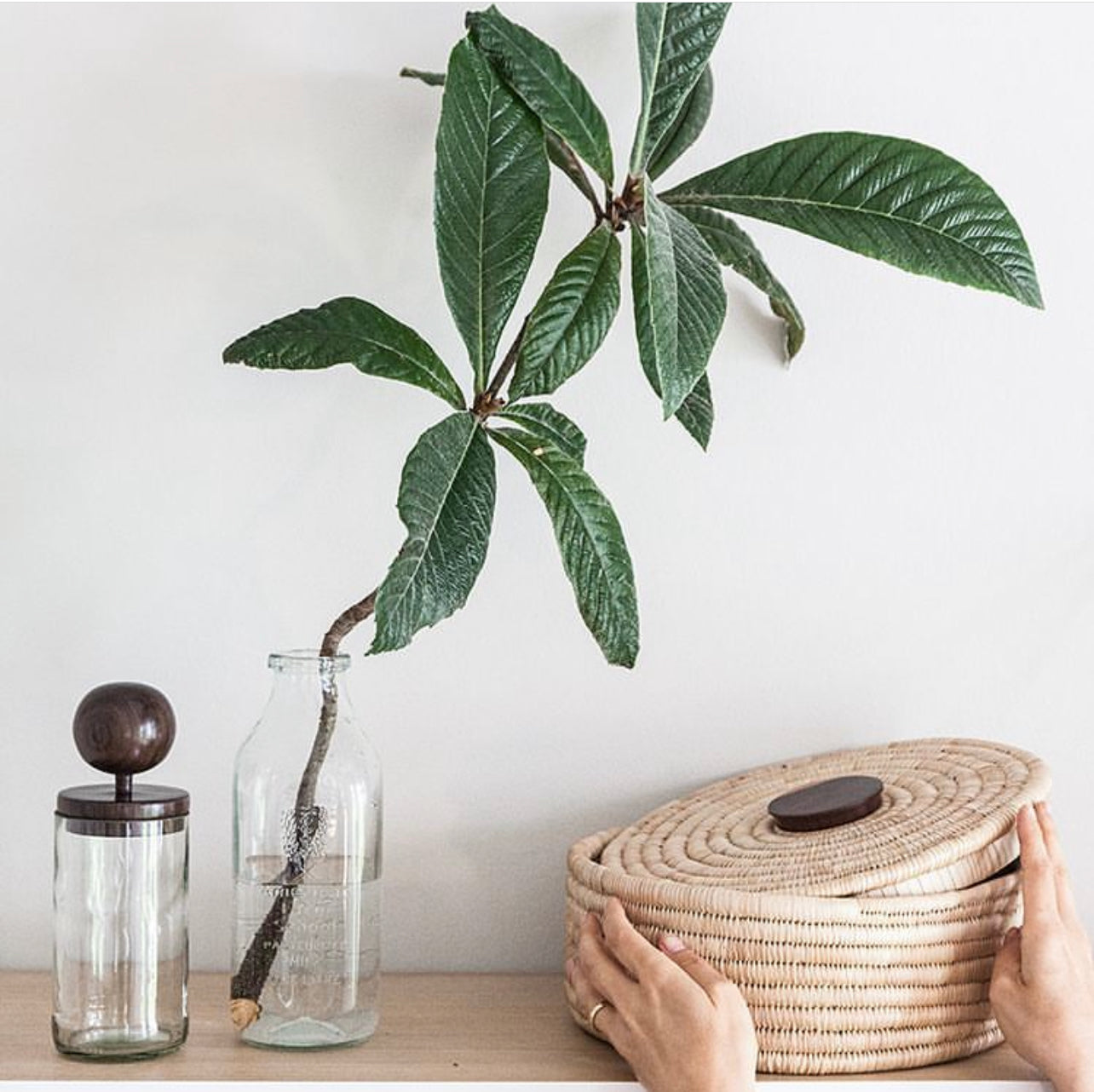 Wooden Topped Apothecary Jars