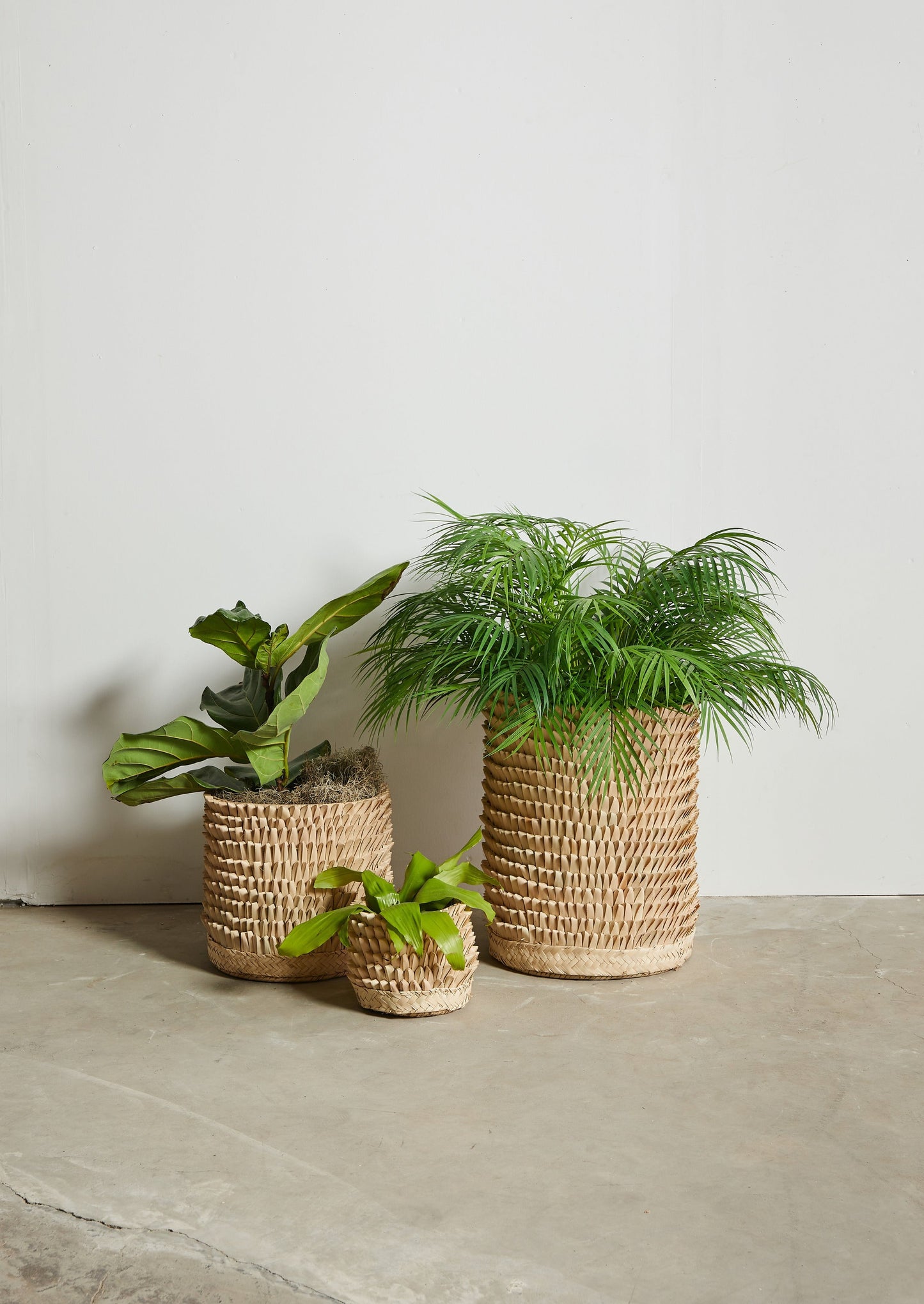 Porcupine Woven Palm Fronds Storage Basket
