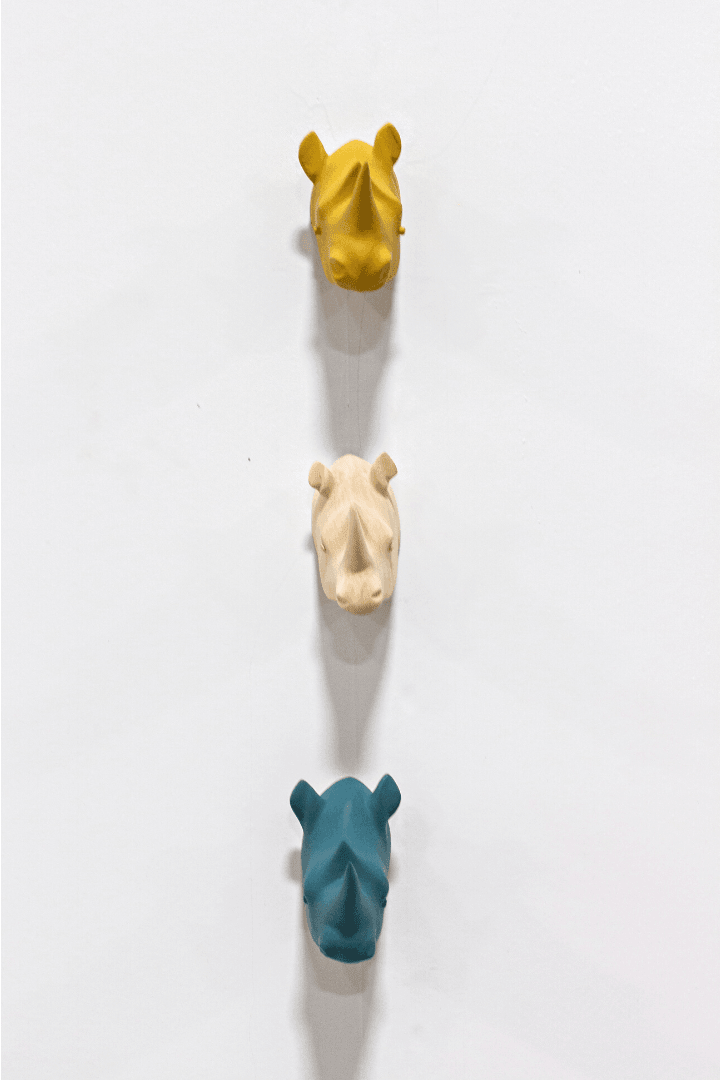 Rhino Safari Wall Hooks