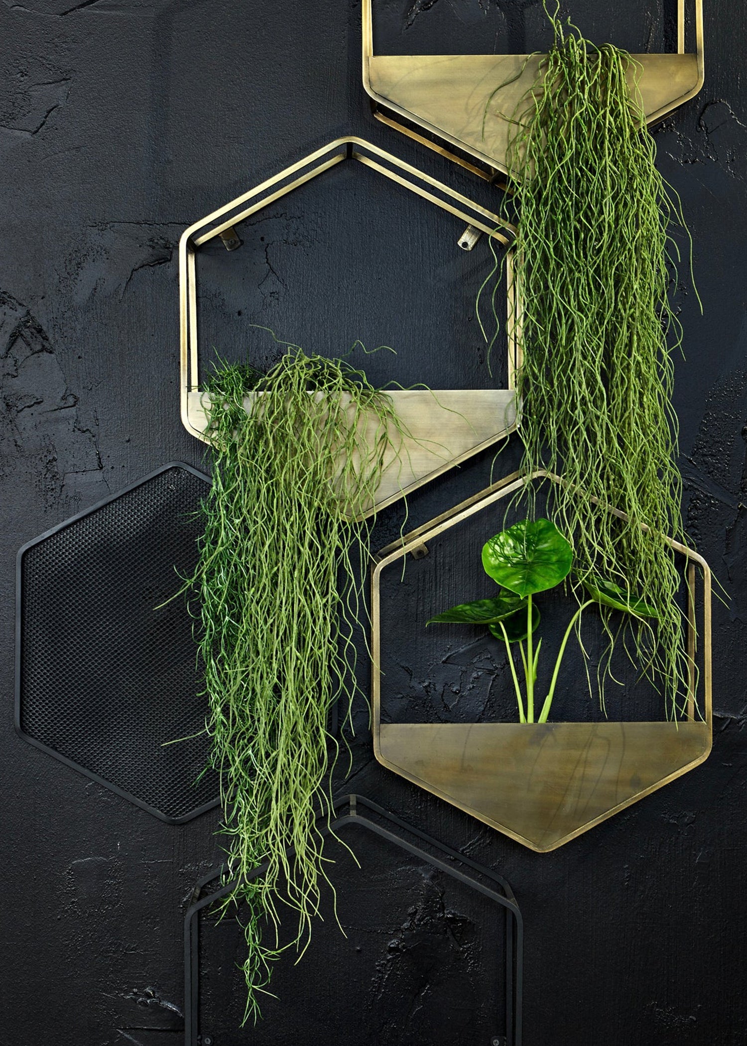 hexagon hanging planter Sixy Wall Planter