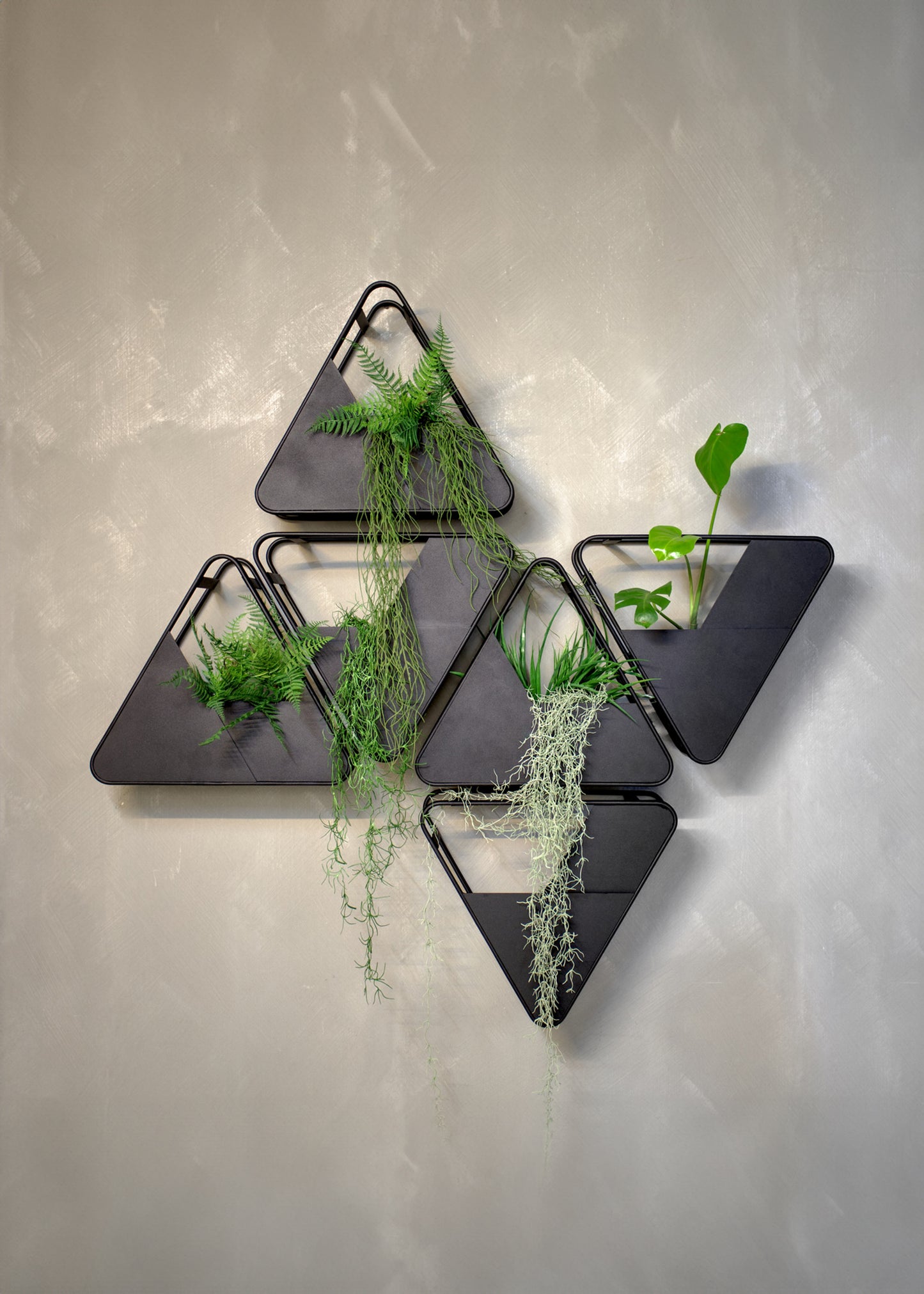 Trioka Wall Planters