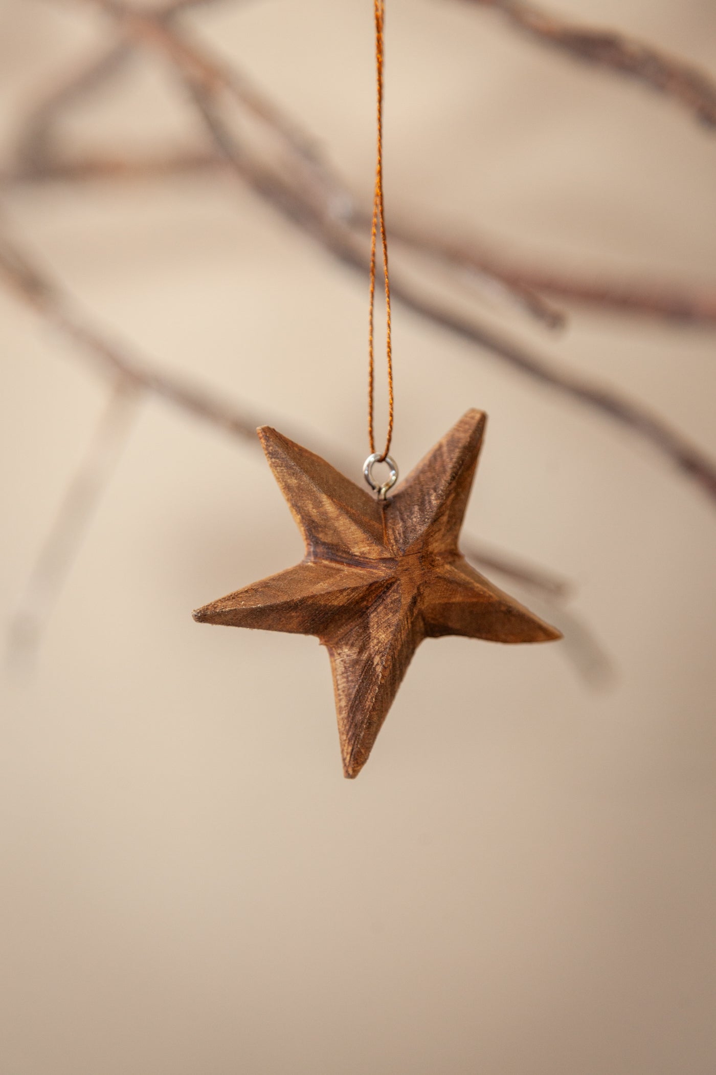 Wooden Variety Ornament Set
