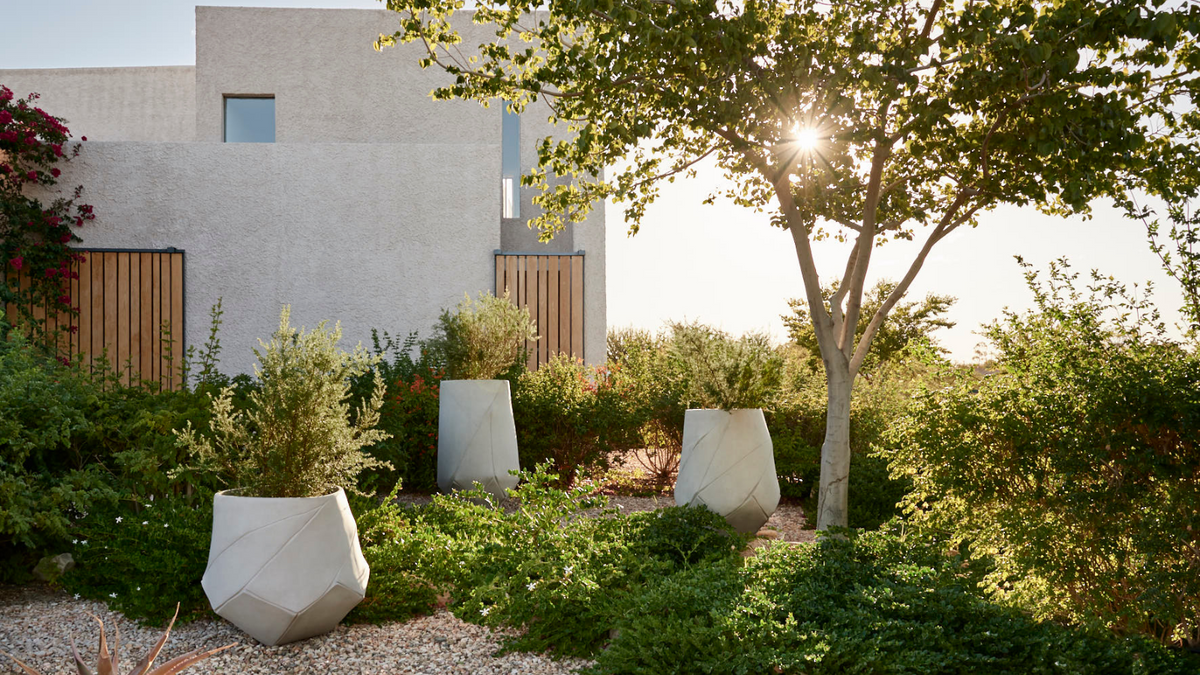 The Indigenus Planters Collection