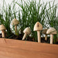 Wooden Mushroom Garden Stick