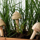 Wooden Mushroom Garden Stick