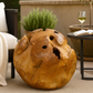 Teak Root Ball – Organic Sculptural Accent