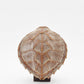 Wiid Hawksbill Sea Turtle Shell Ceramic Wall Cast