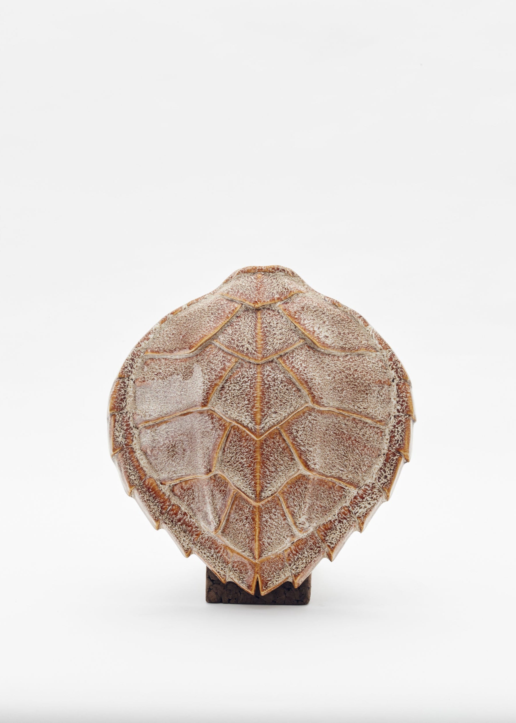 Wiid Hawksbill Sea Turtle Shell Ceramic Wall Cast - Main Image