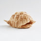 Timber Tortoise Shell