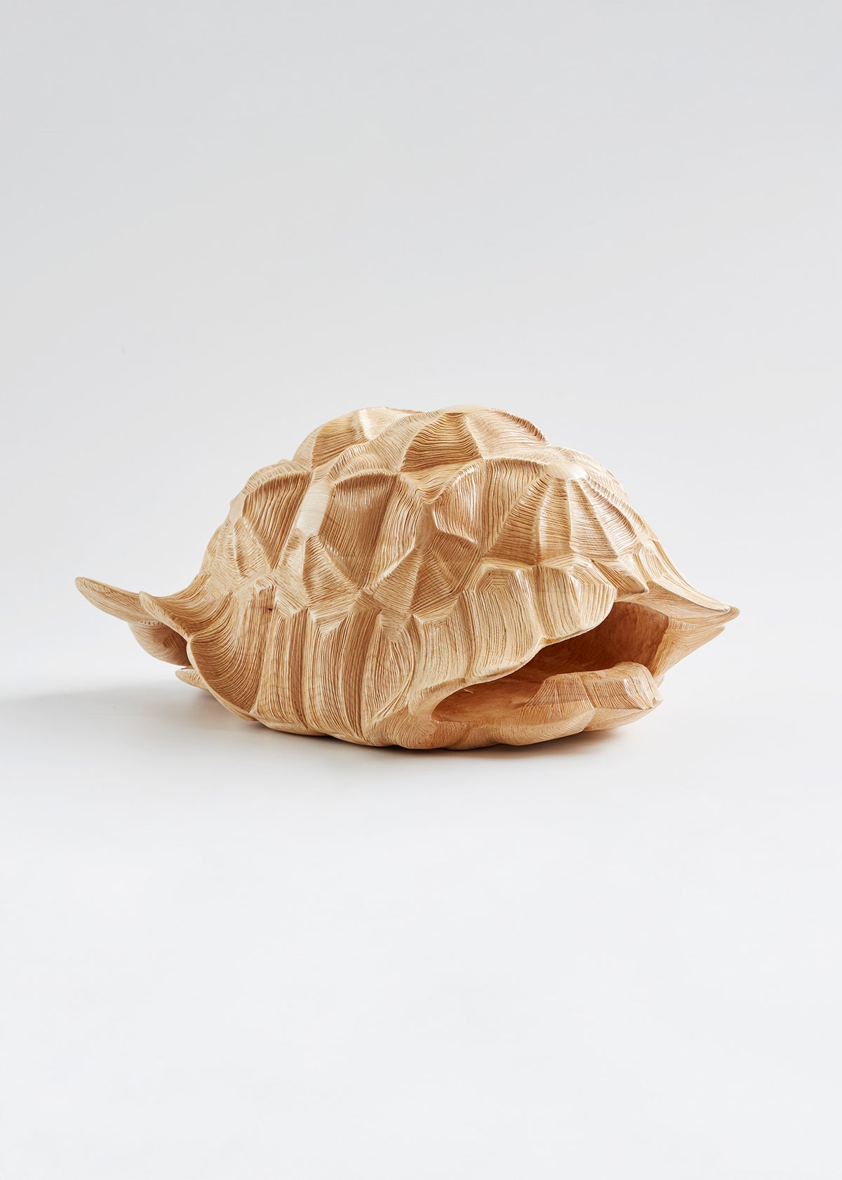 Timber Tortoise Shell