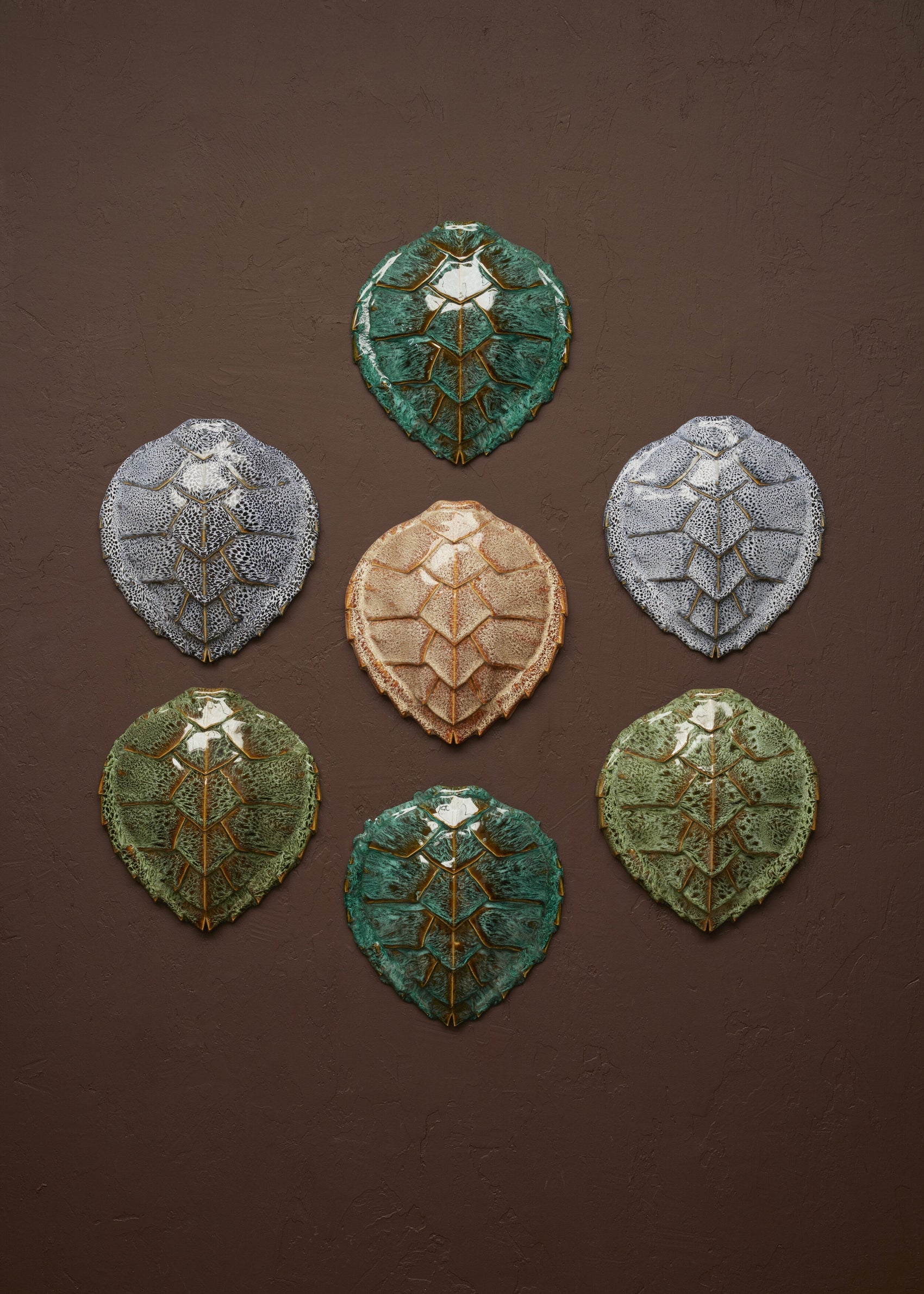 Wiid Hawksbill Turtle Shell Ceramic Wall Cast Set of 7