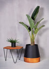 Conica Wood Base Planters