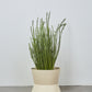 Conva Outdoor Planter