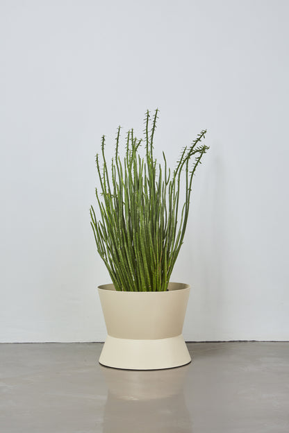 Conva Indoor Planter