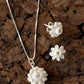 Narzissen-Ohrstecker und Protea-Blumenhalskette im Paket