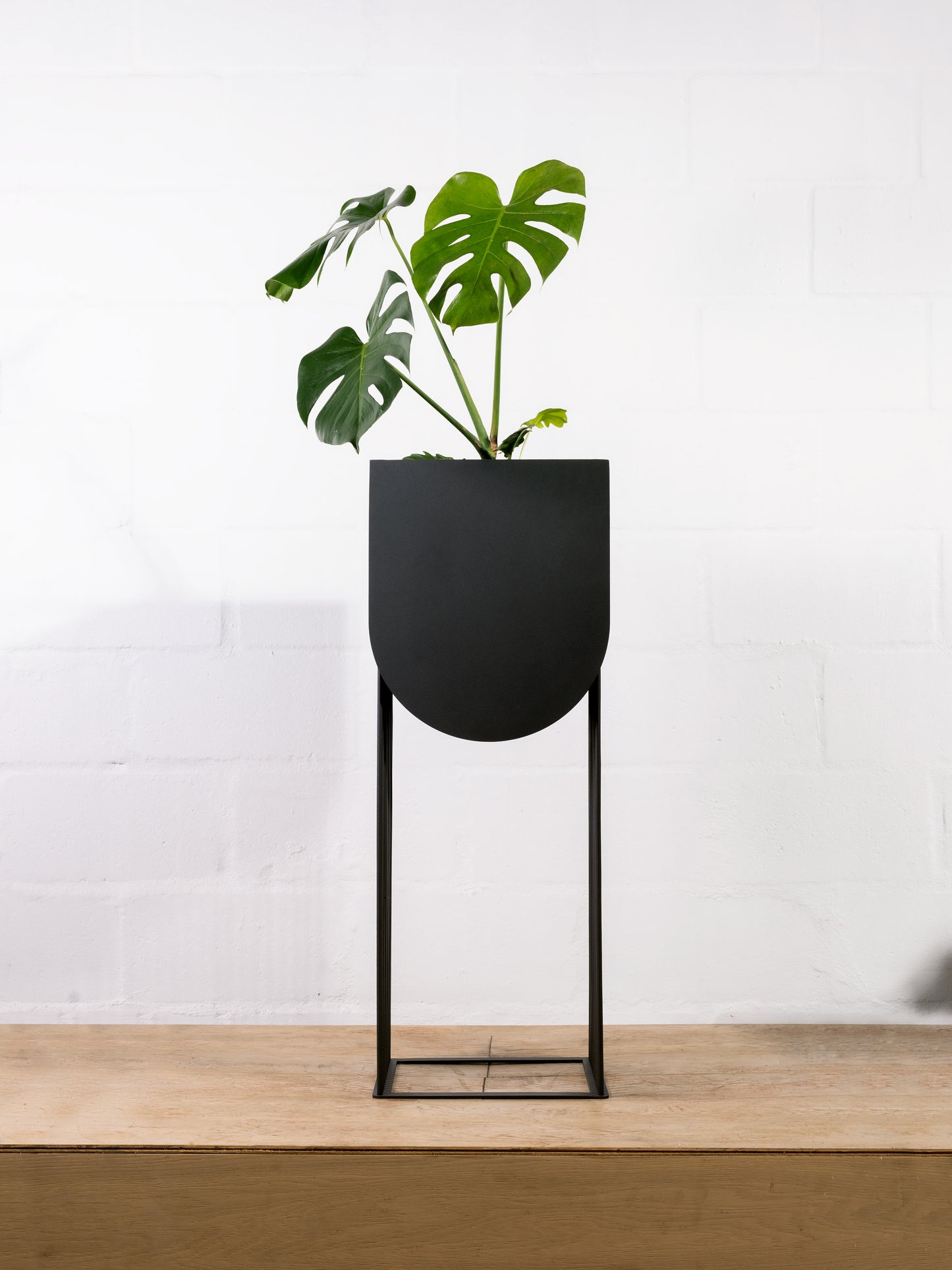 Eclipso Indoor Planter