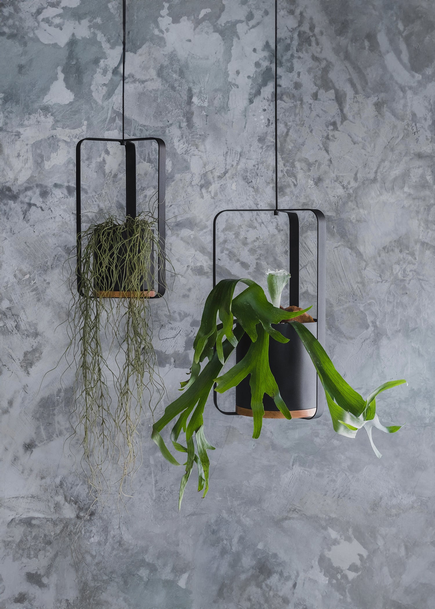 フラワー籠 Eko Black & Ash Wood Hanging Planters – Kanju Interiors