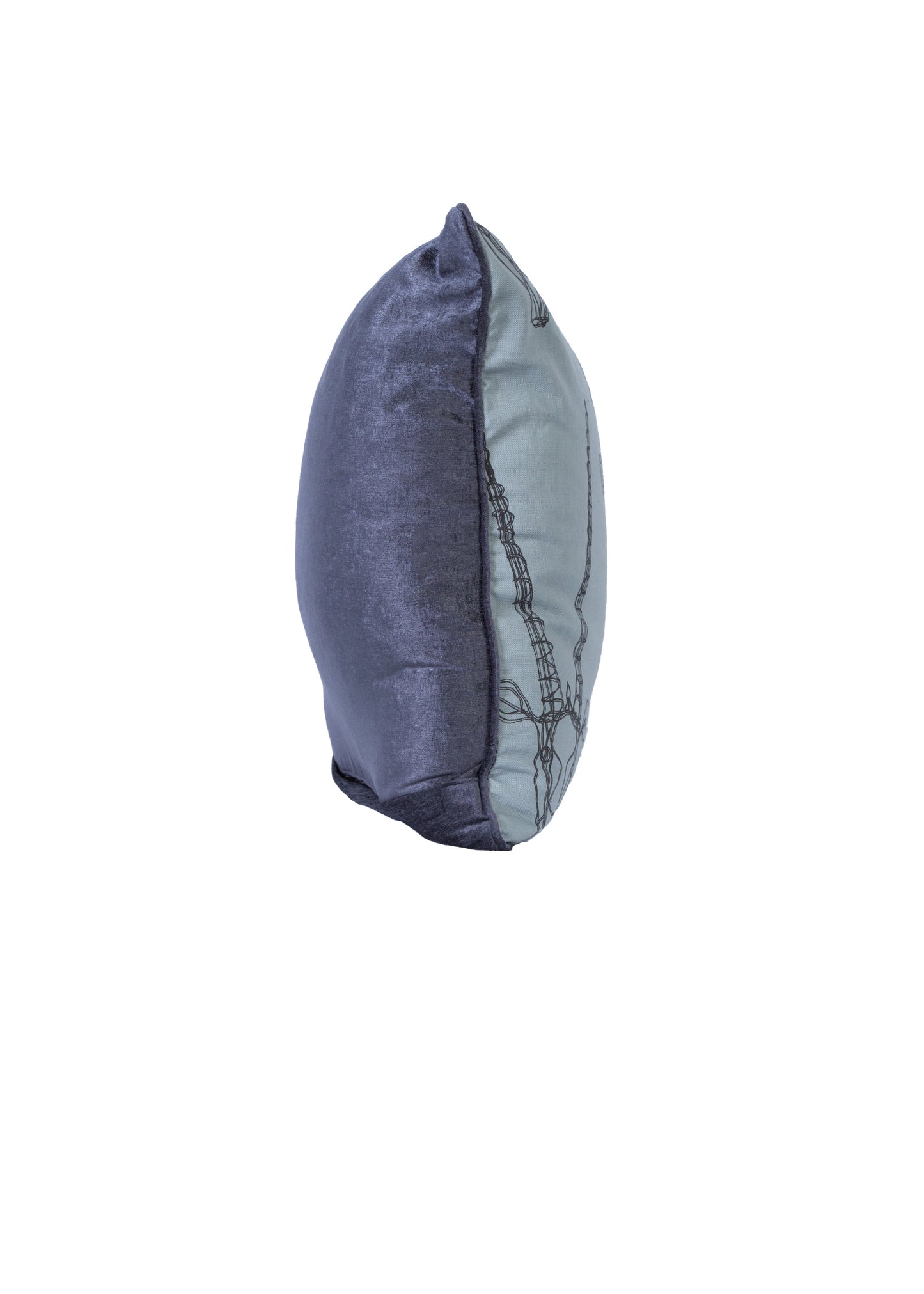 Gemsbok Print Pillow Cover
