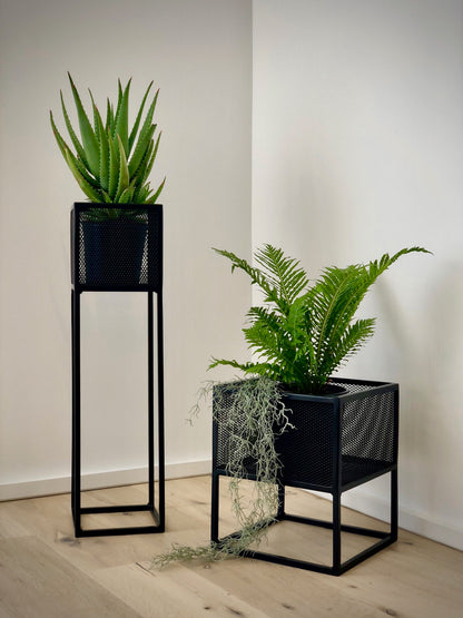Holy Cube Indoor Planters