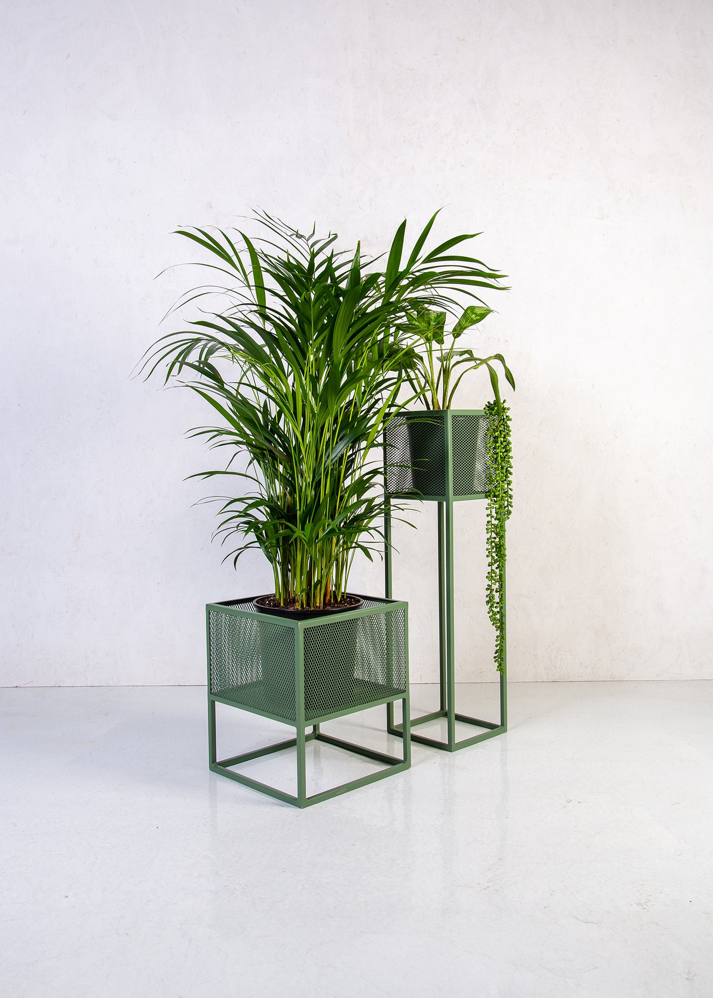 Holy Cube Indoor Planters