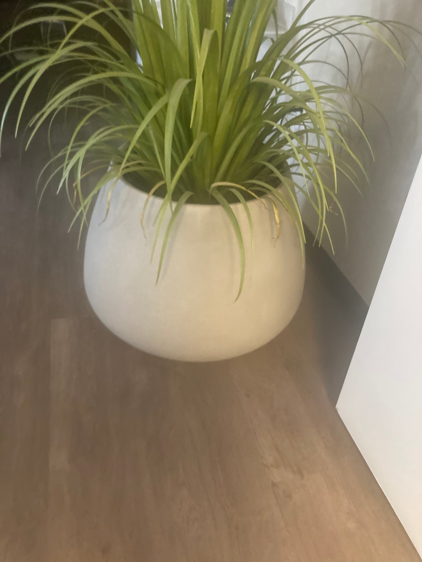 Tuber Small Grey Concrete Planter (Scuff Marks & Scratches)