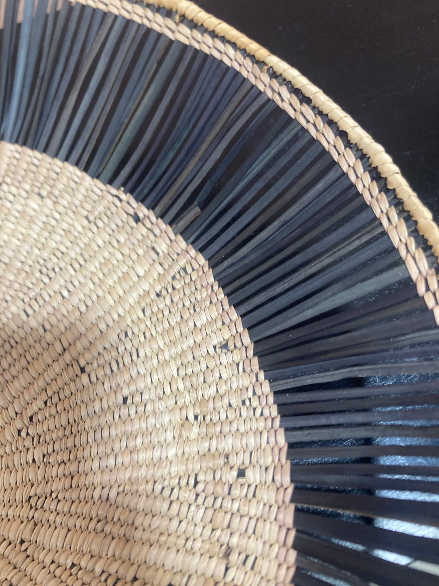 Large Lily Pad Black Ray Wall Basket– Broken Ray