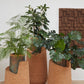 Set of three Kanju Wiid Angled Cork Planters, each featuring a distinctive asymmetrical design with a rustic natural cork exterior and an aged copper-green patina interior, exuding an earthy yet refined aesthetic for luxury home decor.