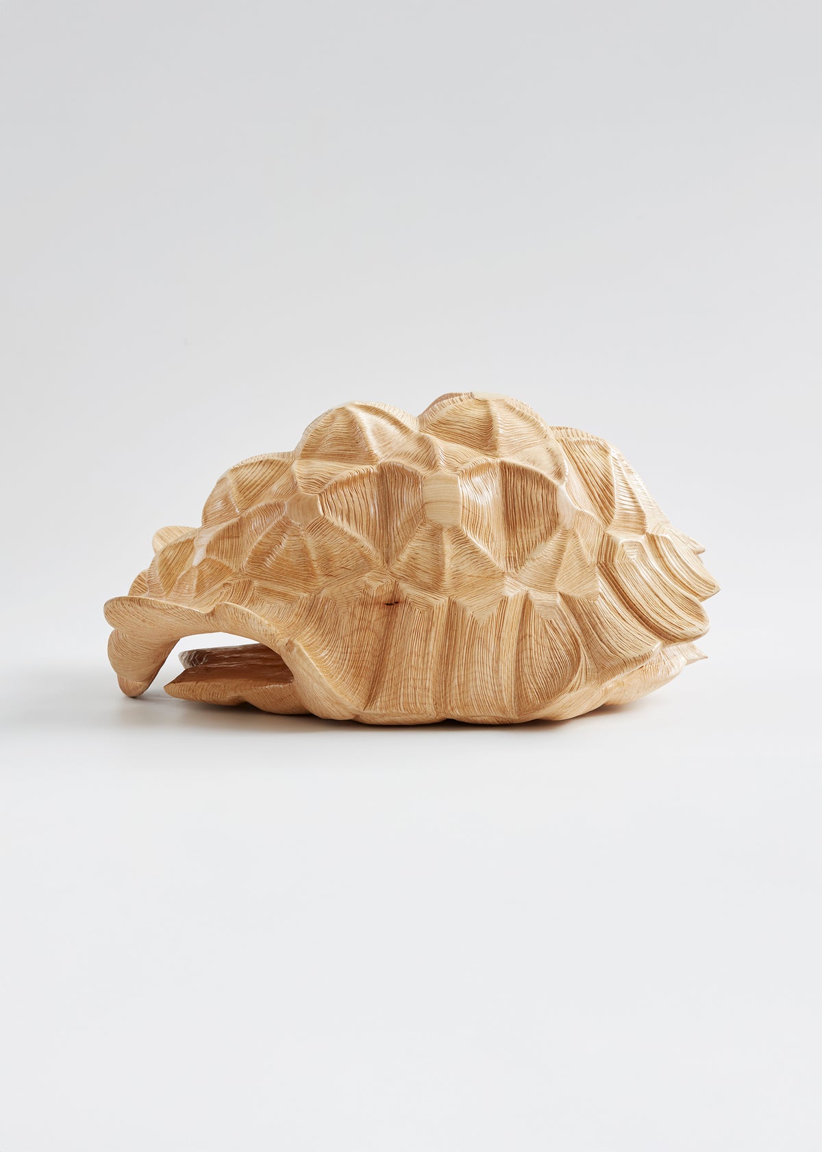 Timber Tortoise Shell