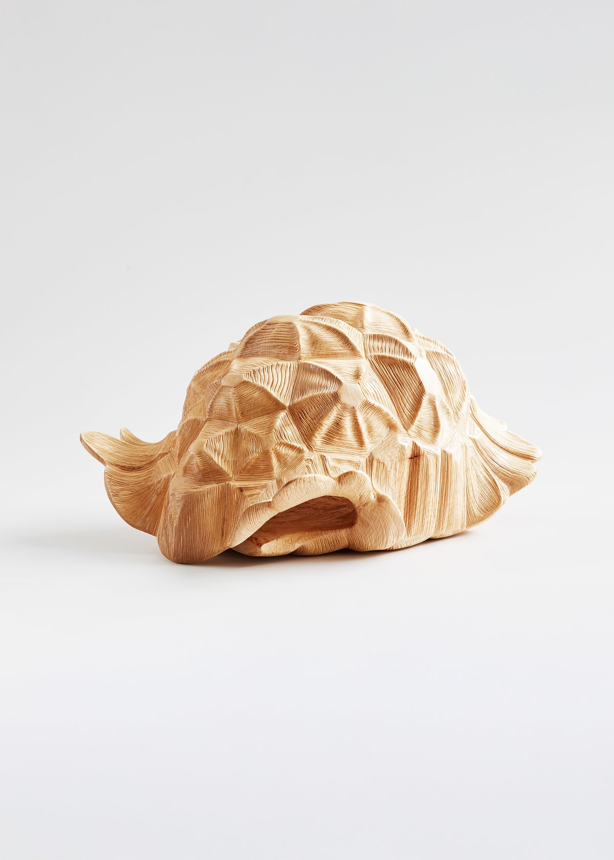 Timber Tortoise Shell