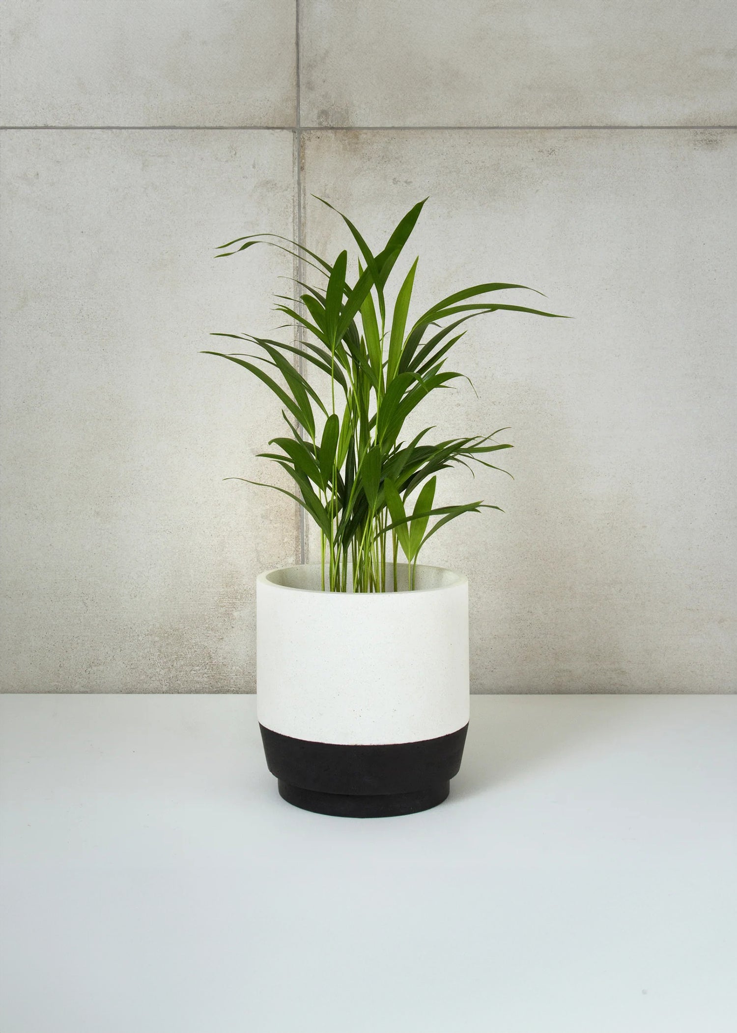 アクセサリー Kith Planter Set Grey Kith Planter Set GreyKith Planter Set Grey - OFour