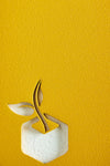Conva Indoor Planter