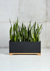 Tao Planter