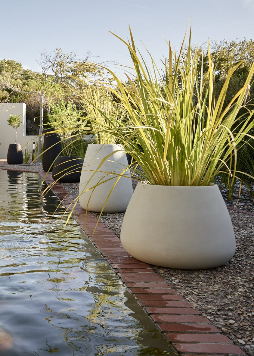 Tuber Small Grey Concrete Planter (Scuff Marks & Scratches)