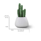 Tuber Small Grey Concrete Planter (Scuff Marks & Scratches)