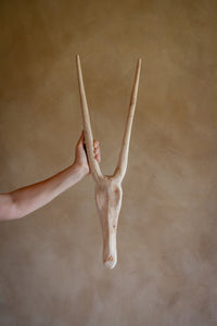 Bush Buck Wall Sculpture