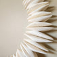 Urchin Halo Wall Hanging
