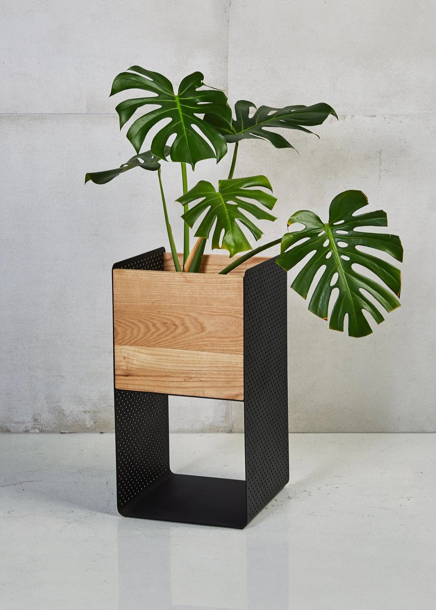 Vika Indoor Stainless Steel & Ash Wood Planter