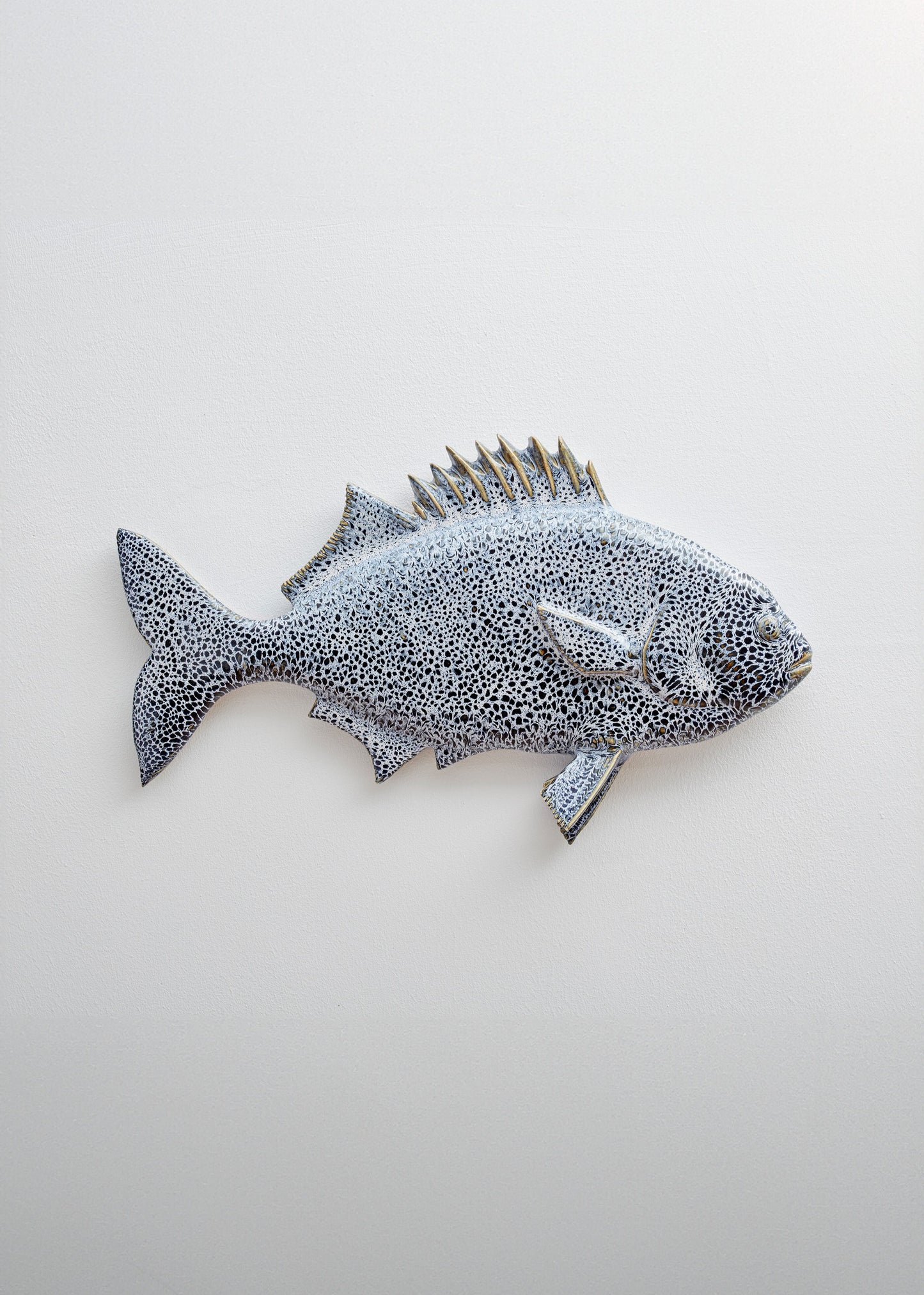 Wiid Galjoen Fish Ceramic Wall Cast