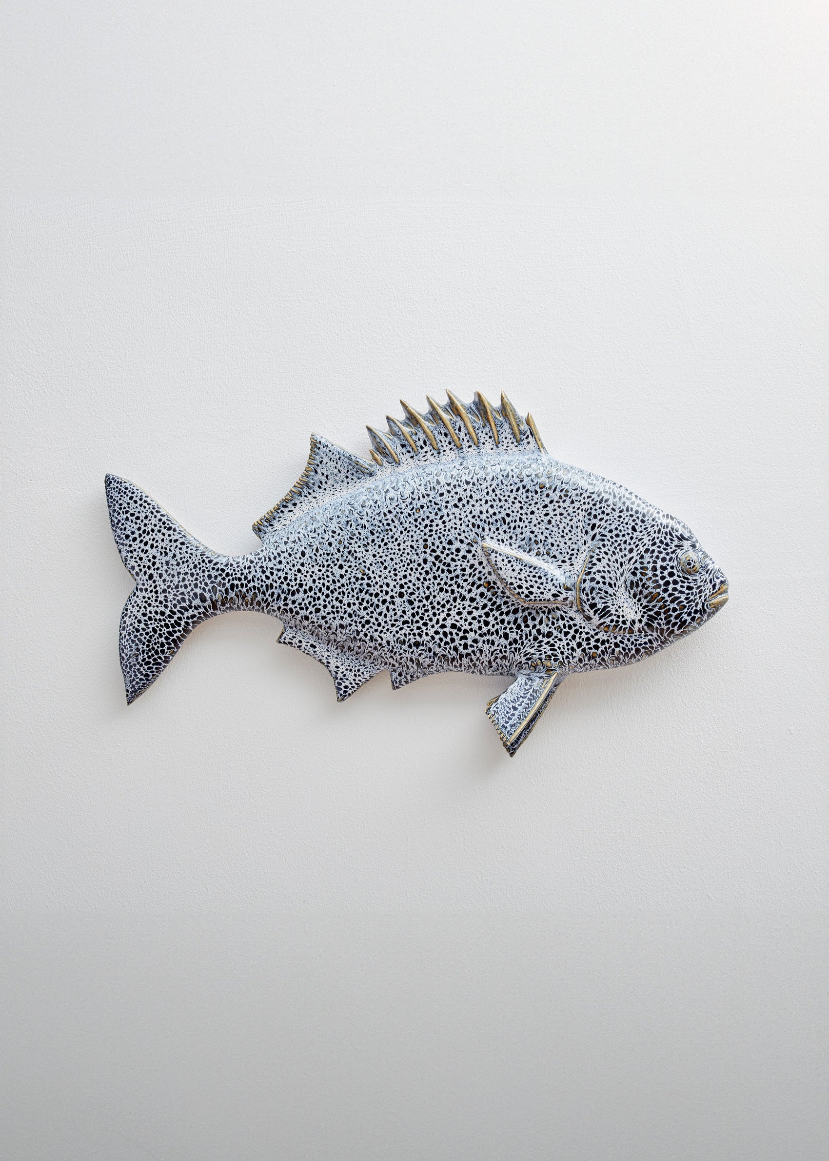 Wiid Galjoen Fish Ceramic Wall Cast