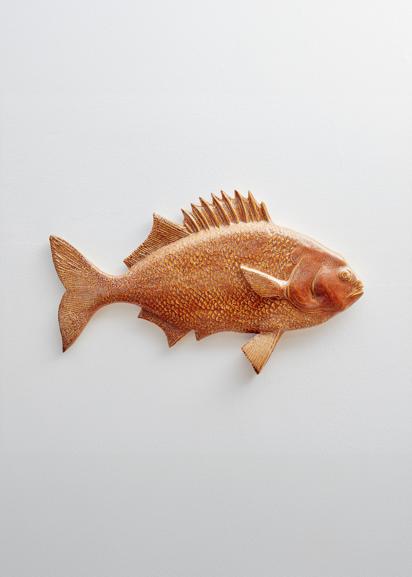 Wiid Galjoen Fish Ceramic Wall Cast