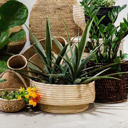 Handwoven Palm Leaf round Basket