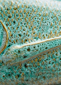 Wiid Galjoen Fish Ceramic Wall Cast