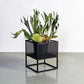 Holy Cube Indoor Planters