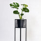 Holy Cube Indoor Planters